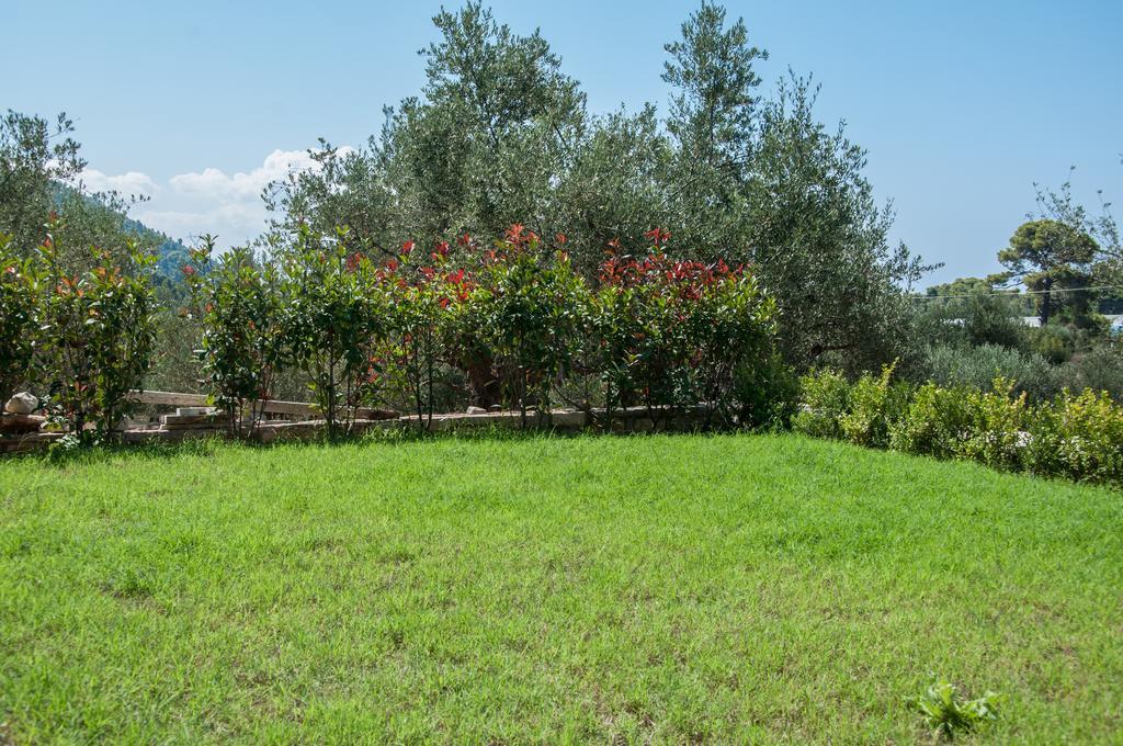 Diamond Giannopoulos Elea * Kyparissia
